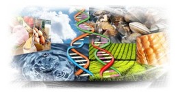 Applicazioni della biologia molecolare nel settore agroalimentare