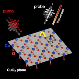 pump probe experiment