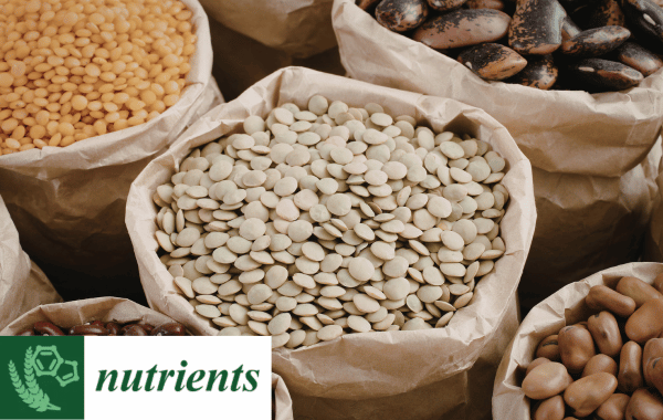 Testing motivational appeals to promote legume-enriched foods